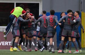 La Passione Infinita del Tifoso: Potenza e Campobasso Scaldano i Playoff