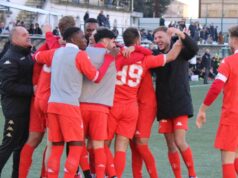 Triestina: tra debito, stadio e chiarezza gestionale