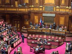 Serie C e accessibilità: la petizione al Senato che tenta di cambiare il calcio di livello intermedio