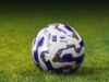 Mercato, ritorni e scelte: Angelozzi, Spezia e Foggia all’orizzonte