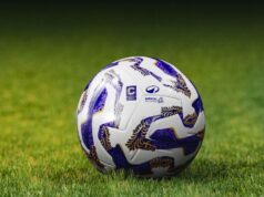 Mercato, ritorni e scelte: Angelozzi, Spezia e Foggia all’orizzonte