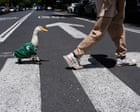 Merlin l’anatra mascotte del Mondiale: quando una piuma diventa virale nel cuore della tifoseria messicana