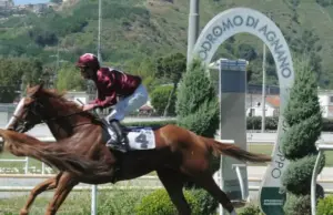 Tra campo e pista: metafore ippiche nello sport moderno e nel racconto di Napoli