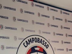 Campobasso FC: Giuseppe Praticò nuovo Direttore Generale e la sfida di trasformare il club in una struttura sostenibile