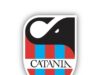 Catania Calcio: tre anni di crescita in cerca della svolta
