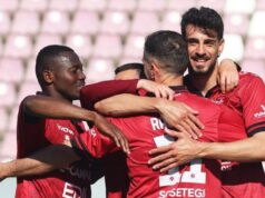 Reggina Scatenata: Rotulo entra nel progetto amaranto